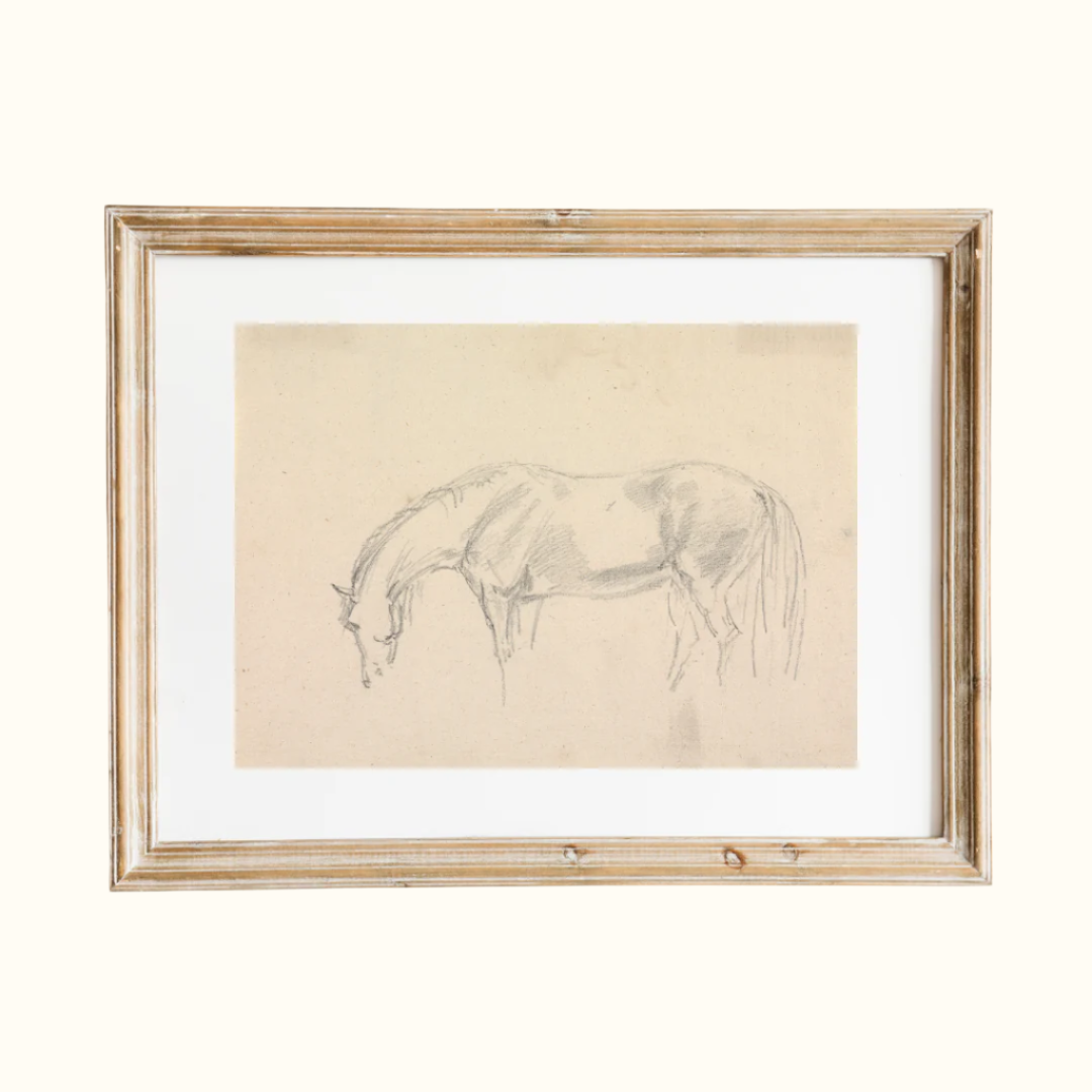 A Horse Grazing Sketch Antique Art Print
