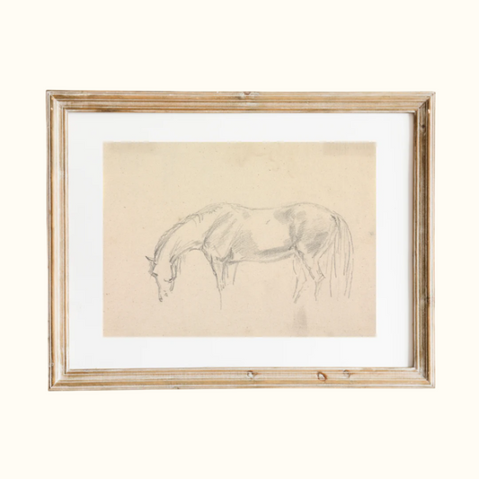 A Horse Grazing Sketch Antique Art Print