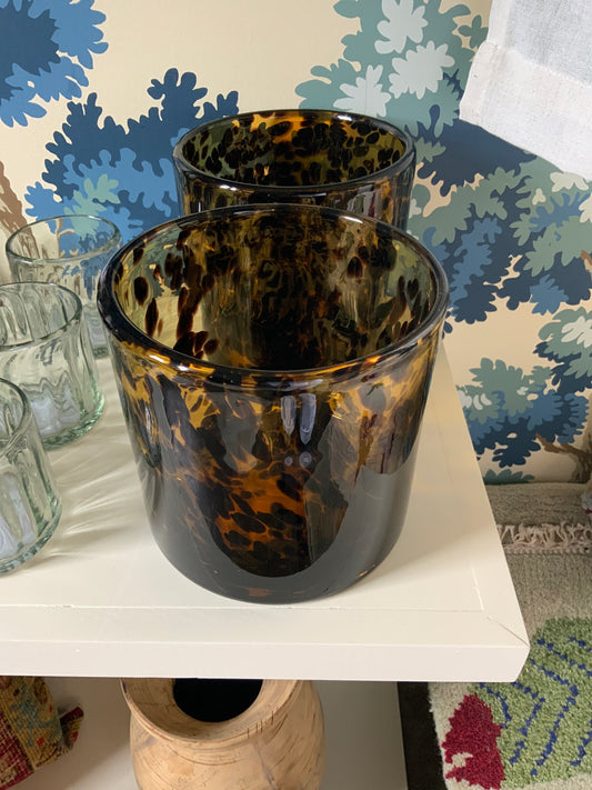 Large Tortoise Container
